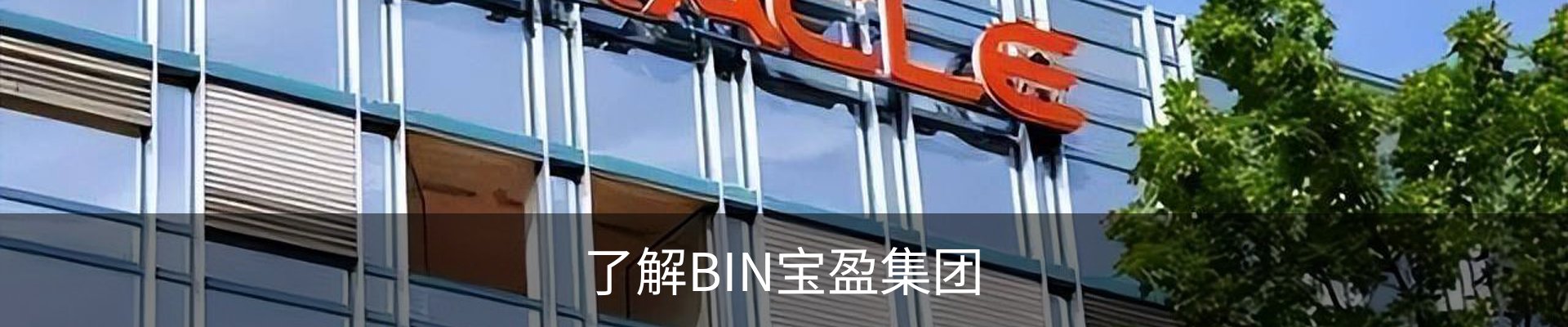 了解BIN宝盈集团